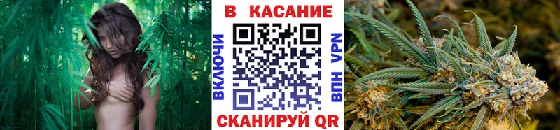 Цена Канаш Гашиш  МАРИХУАНА  Alpha-PVP  Меф мяу мяу  Амфетамин  Метадон  COCAIN 