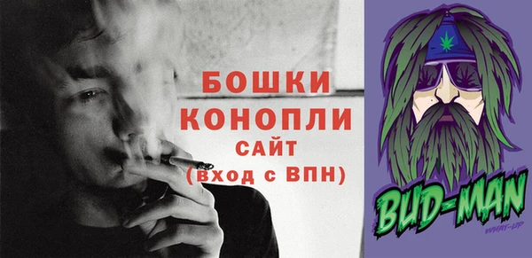 молекула духа Володарск