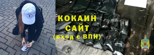 сатива Волоколамск