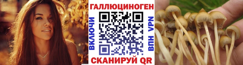Галлюциногенные грибы ЛСД  Канаш 